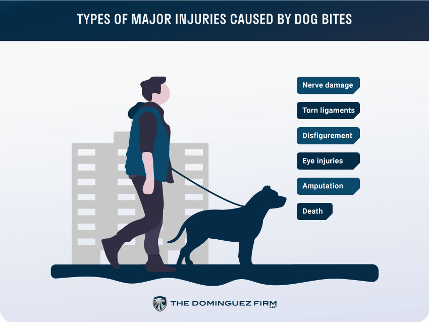 Types of Major Injuries Caused By Dog Bites