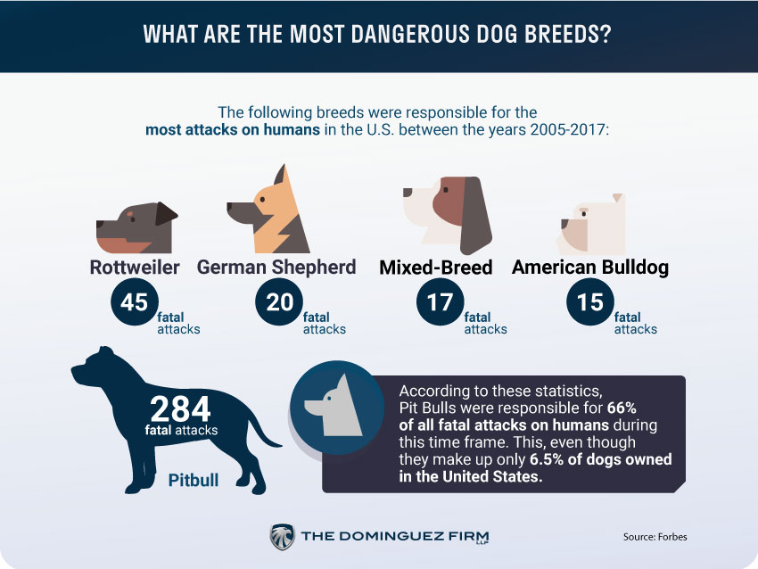 What Are The Most Dangerous Dog Breeds